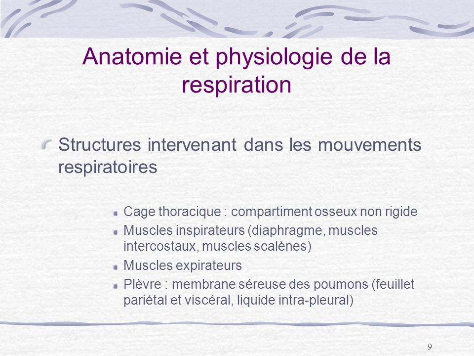Anatomie et physiologie de la respiration
