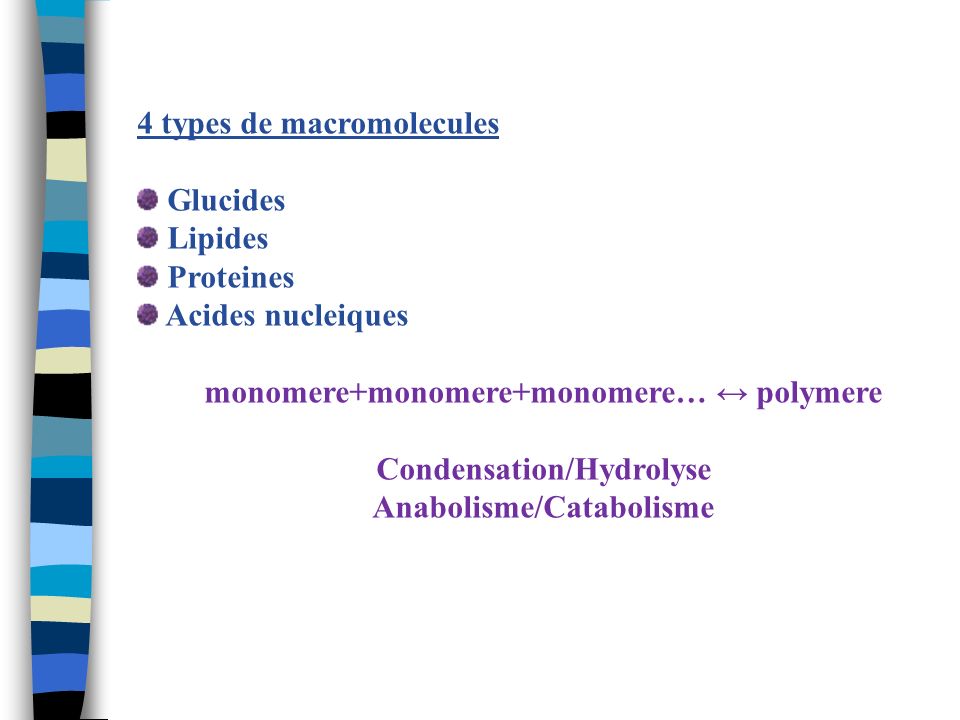 4 types de macromolecules Glucides Lipides Proteines Acides nucleiques