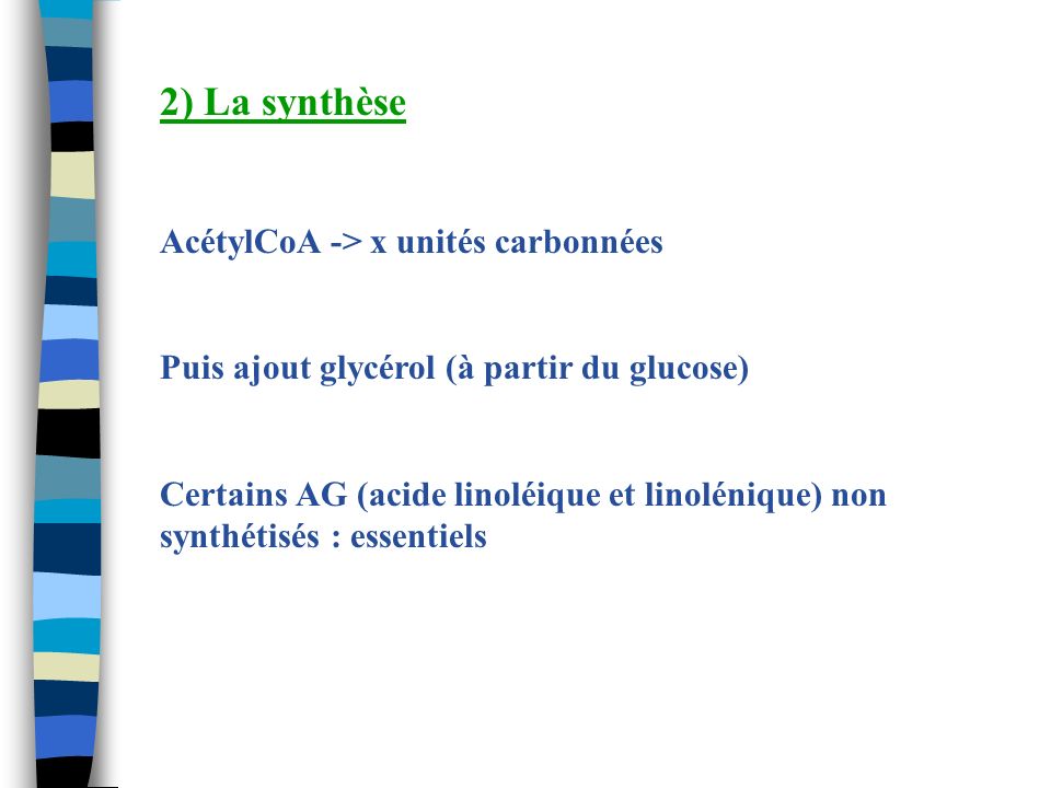 2) La synthèse AcétylCoA -> x unités carbonnées