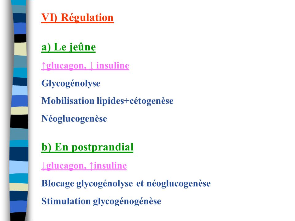 VI) Régulation a) Le jeûne b) En postprandial ↑glucagon, ↓ insuline