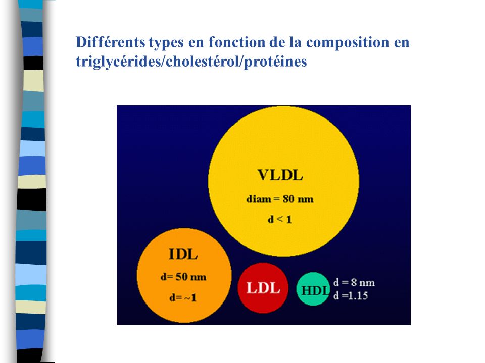 Différents types en fonction de la composition en triglycérides/cholestérol/protéines