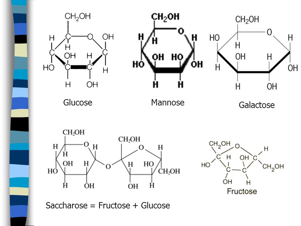 Glucose Mannose Galactose Saccharose = Fructose + Glucose