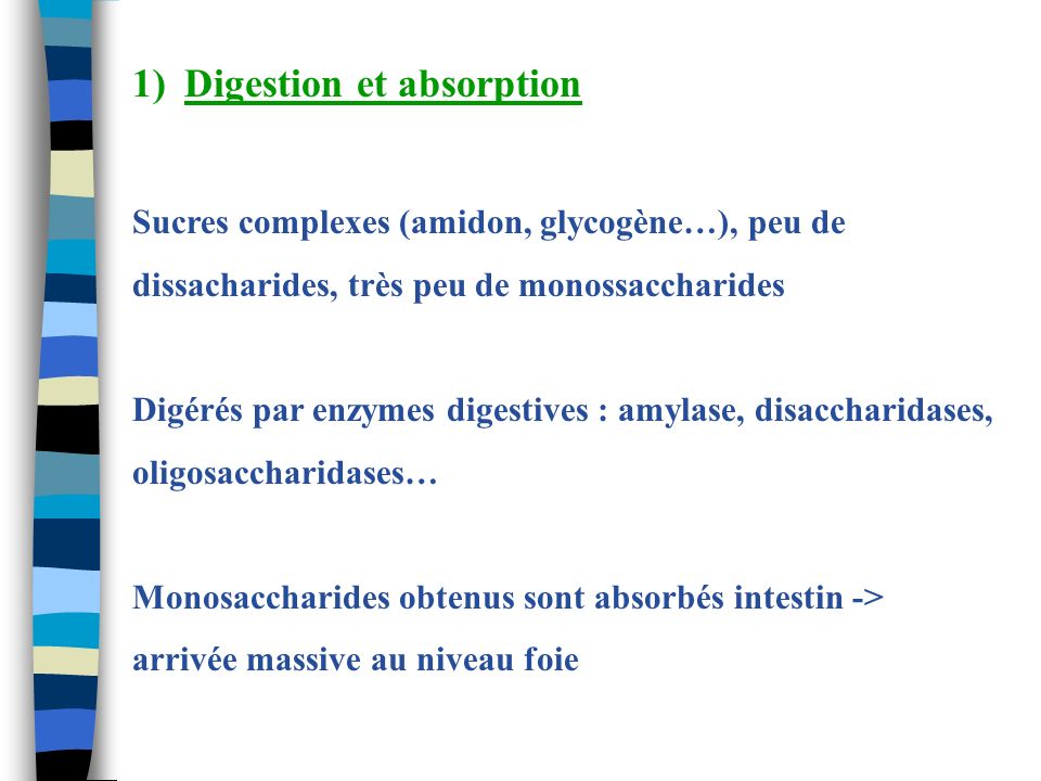 Digestion et absorption
