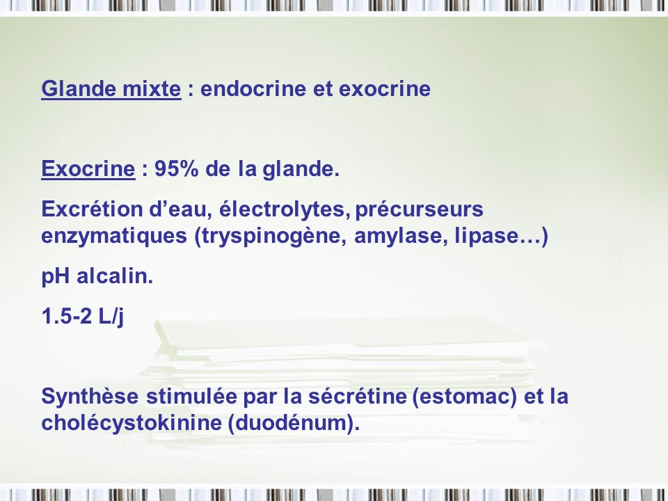 Glande mixte : endocrine et exocrine