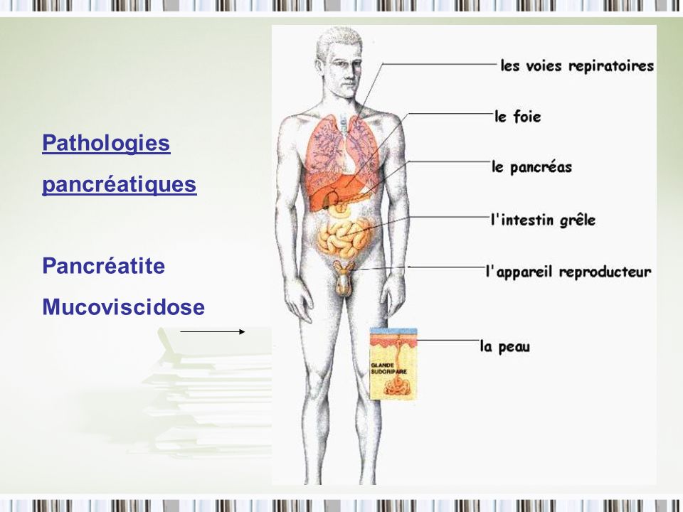 Pathologies pancréatiques Pancréatite Mucoviscidose