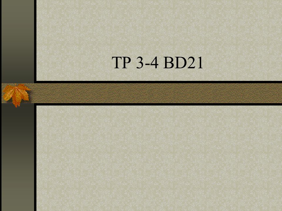TP 3-4 BD21