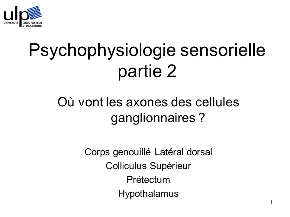 Psychophysiologie sensorielle partie 2