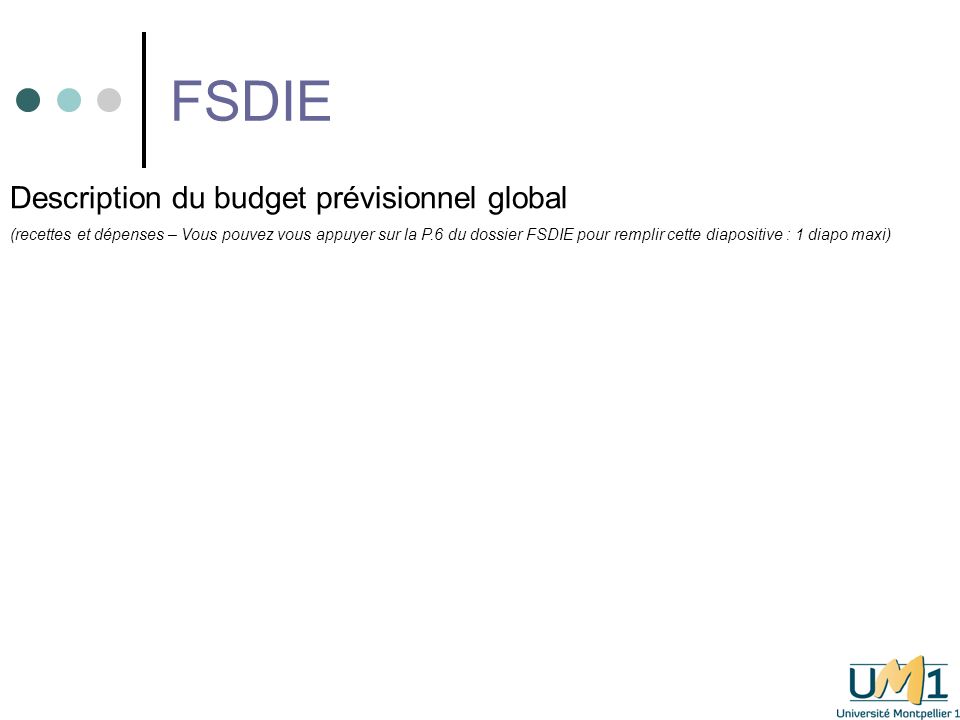 FSDIE Description du budget prévisionnel global