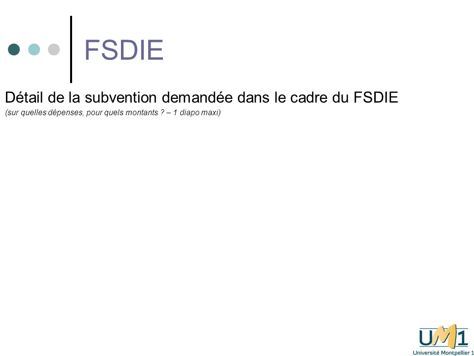 FSDIE Détail de la subvention demandée dans le cadre du FSDIE