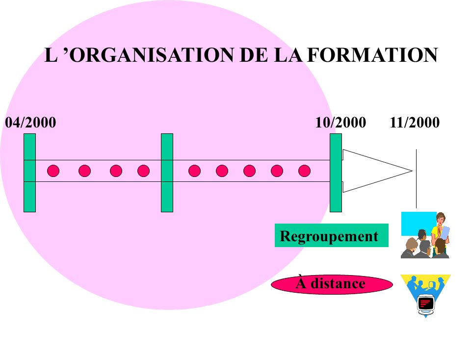 L ’ORGANISATION DE LA FORMATION
