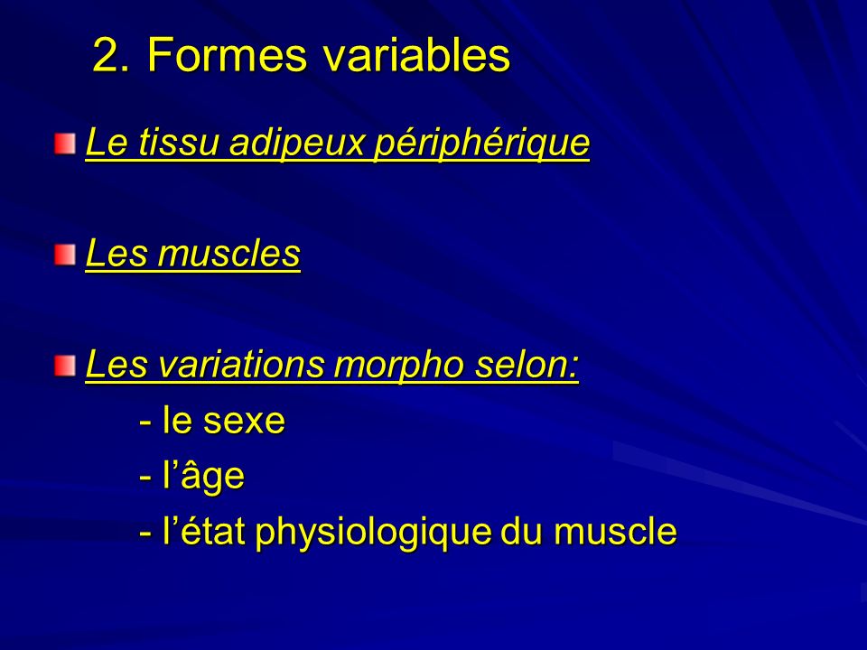 2. Formes variables Le tissu adipeux périphérique Les muscles