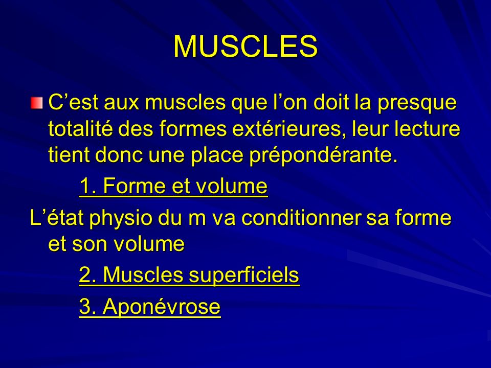 MUSCLES C’est aux muscles que l’on doit la presque totalité des formes extérieures, leur lecture tient donc une place prépondérante.