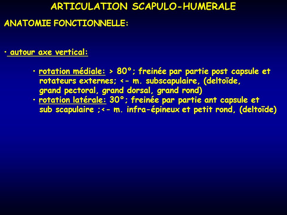 ARTICULATION SCAPULO-HUMERALE