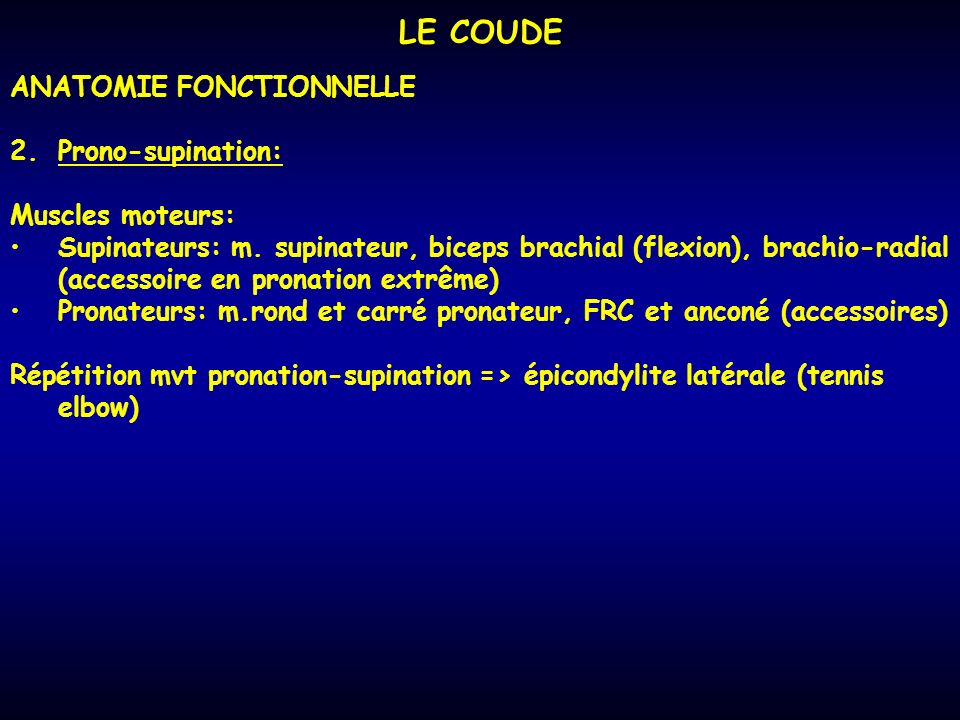 LE COUDE ANATOMIE FONCTIONNELLE Prono-supination: Muscles moteurs: