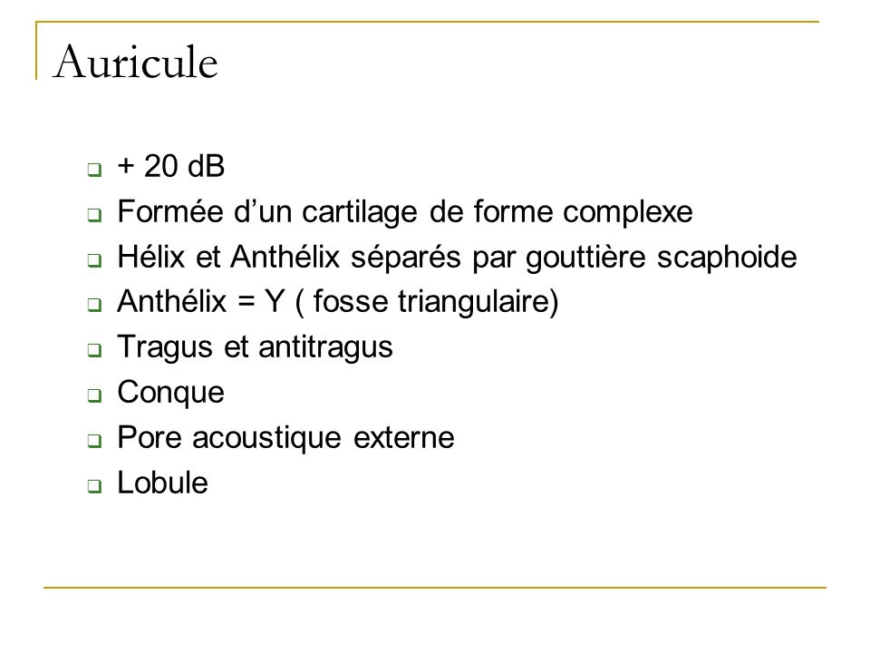 Auricule + 20 dB Formée d’un cartilage de forme complexe