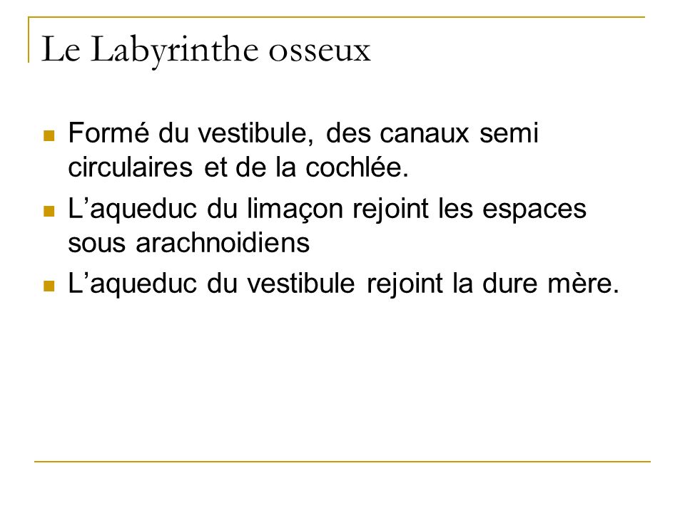 Le Labyrinthe osseux Formé du vestibule, des canaux semi circulaires et de la cochlée. L’aqueduc du limaçon rejoint les espaces sous arachnoidiens.
