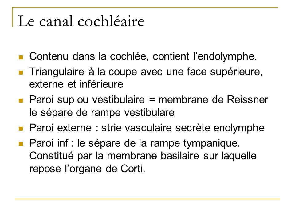 Le canal cochléaire Contenu dans la cochlée, contient l’endolymphe.