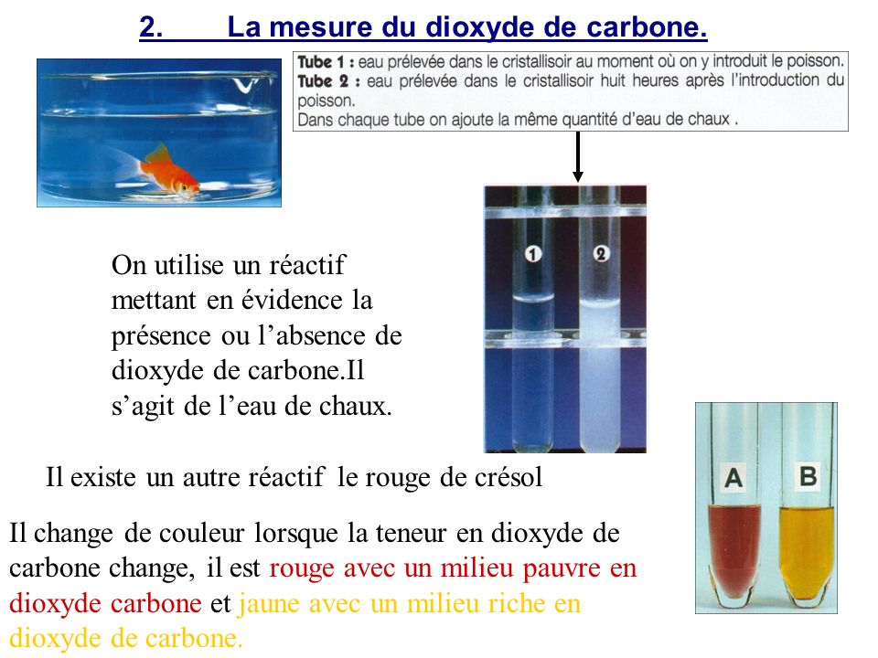 2. La mesure du dioxyde de carbone.