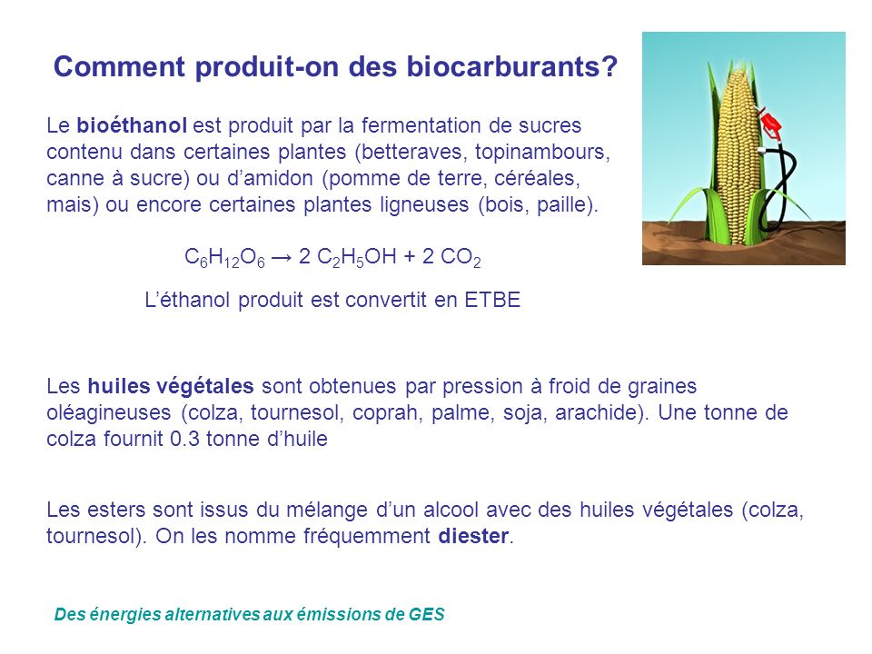 Comment produit-on des biocarburants