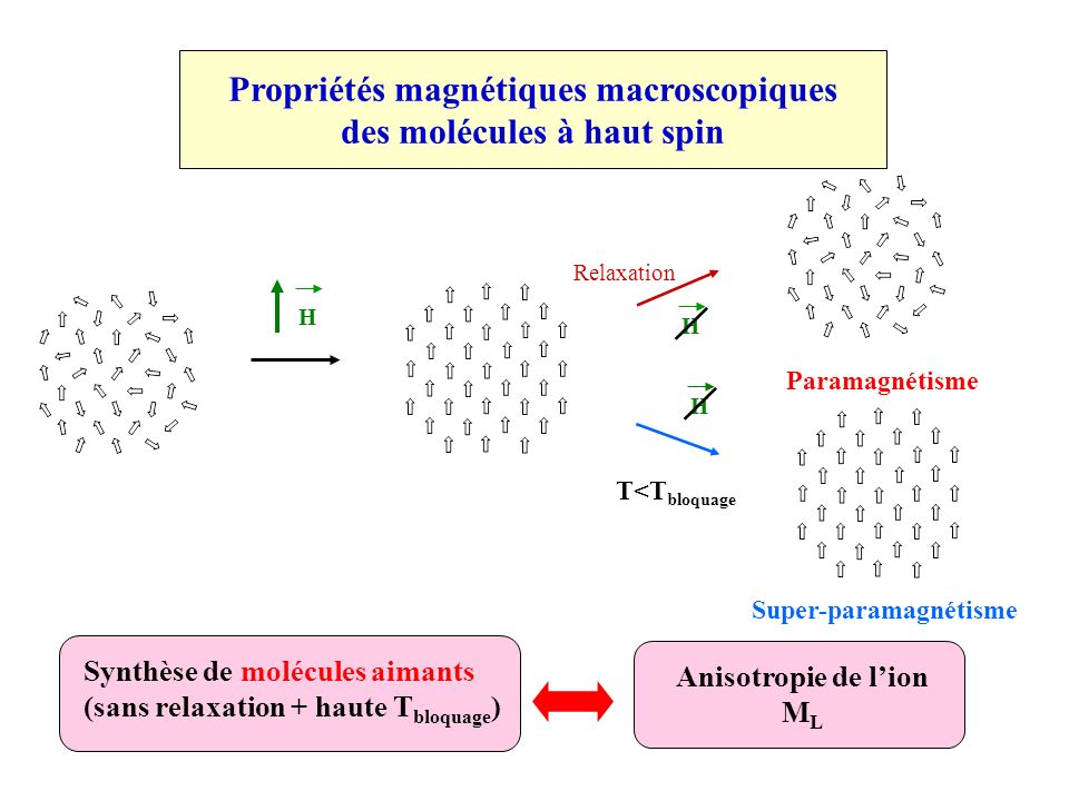 Propriétés magnétiques macroscopiques des molécules à haut spin