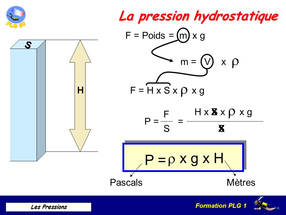 La pression hydrostatique