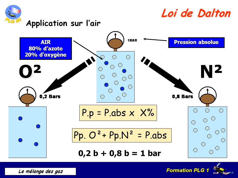 Loi de Dalton P.p = P.abs x X% Pp. O²+ Pp.N² = P.abs
