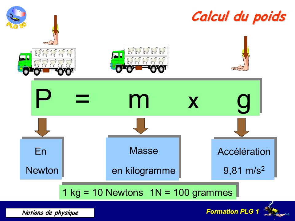 P = m X g Calcul du poids Masse En Accélération en kilogramme Newton