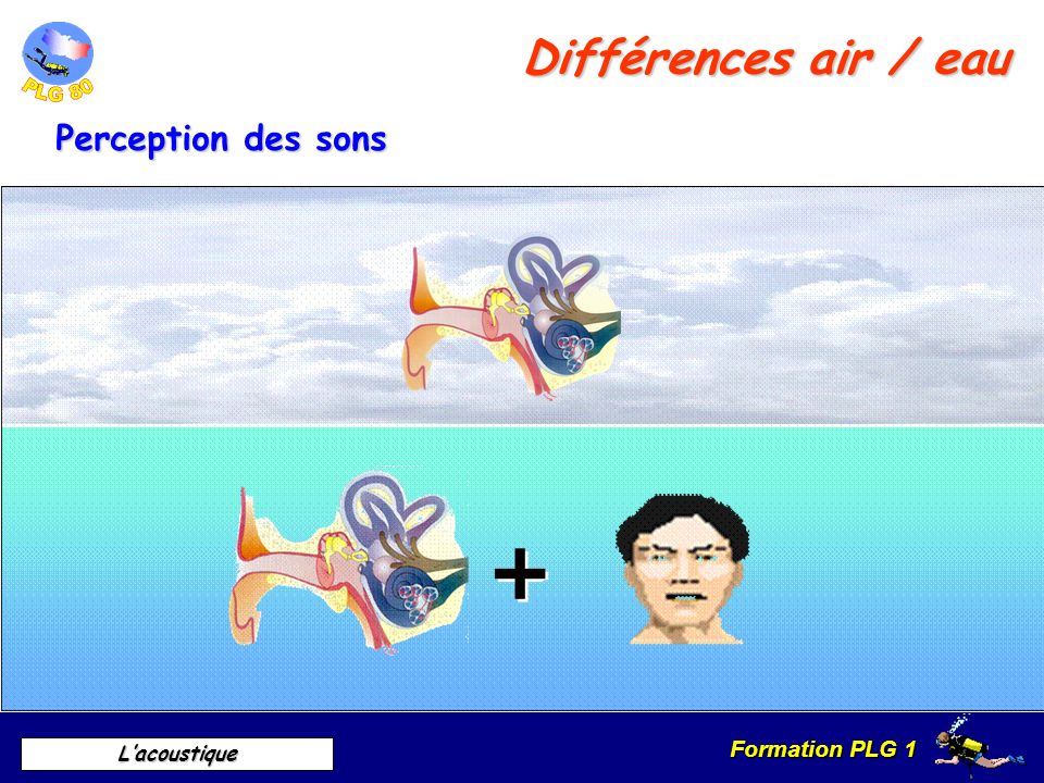 Différences air / eau Perception des sons