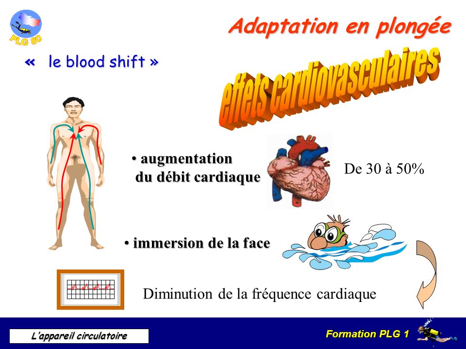 effets cardiovasculaires