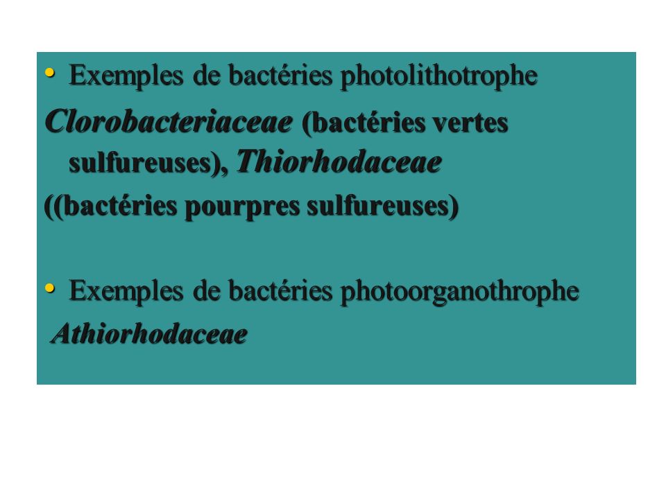 Clorobacteriaceae (bactéries vertes sulfureuses), Thiorhodaceae