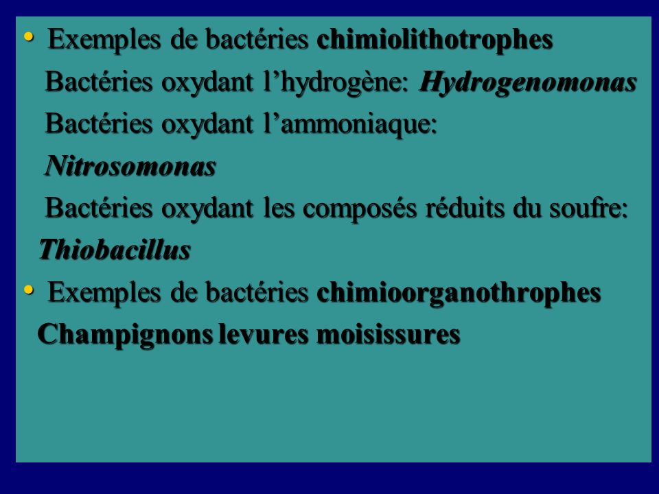 Exemples de bactéries chimiolithotrophes