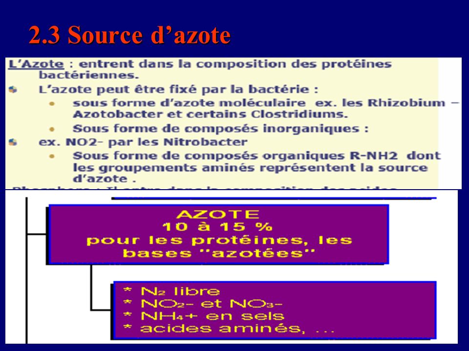 2.3 Source d’azote