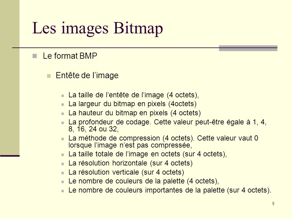Les images Bitmap Le format BMP Entête de l’image