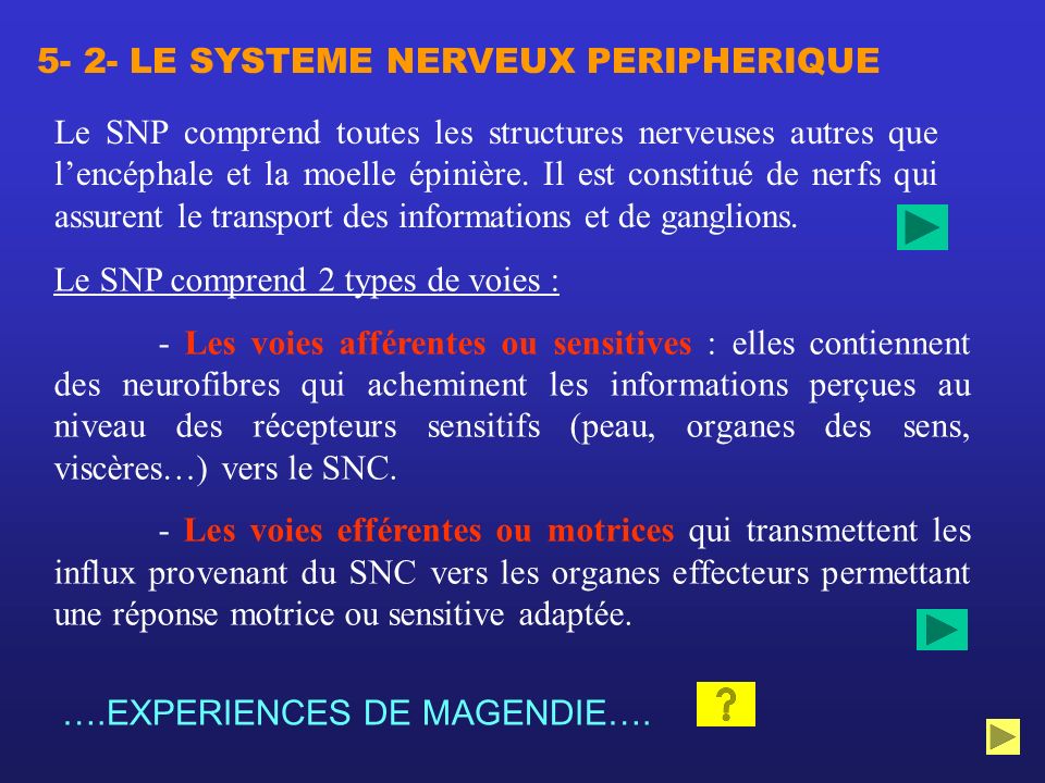 5- 2- LE SYSTEME NERVEUX PERIPHERIQUE