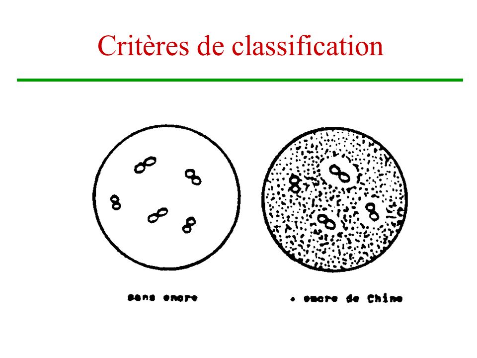 Critères de classification