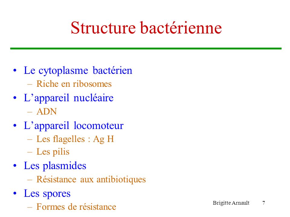 Structure bactérienne