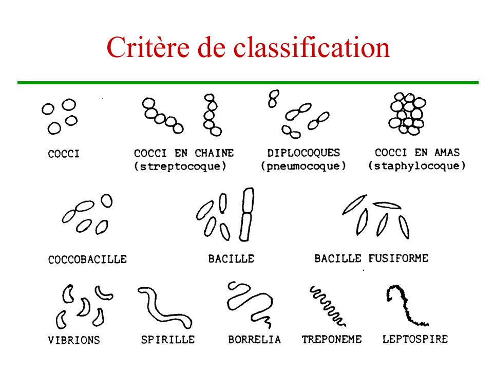 Critère de classification