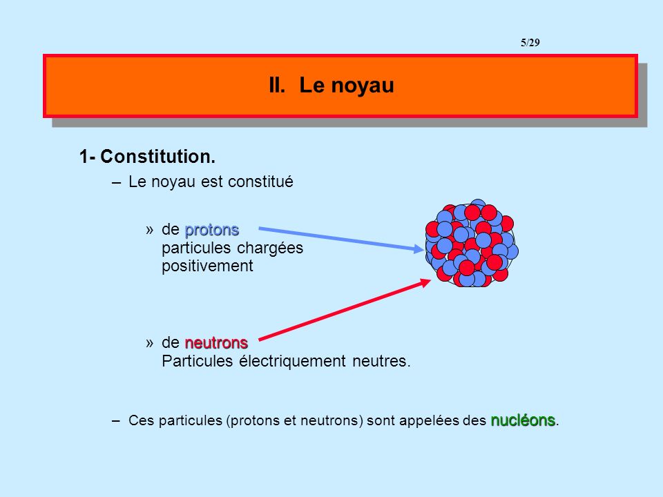 II. Le noyau 1- Constitution. Le noyau est constitué de protons