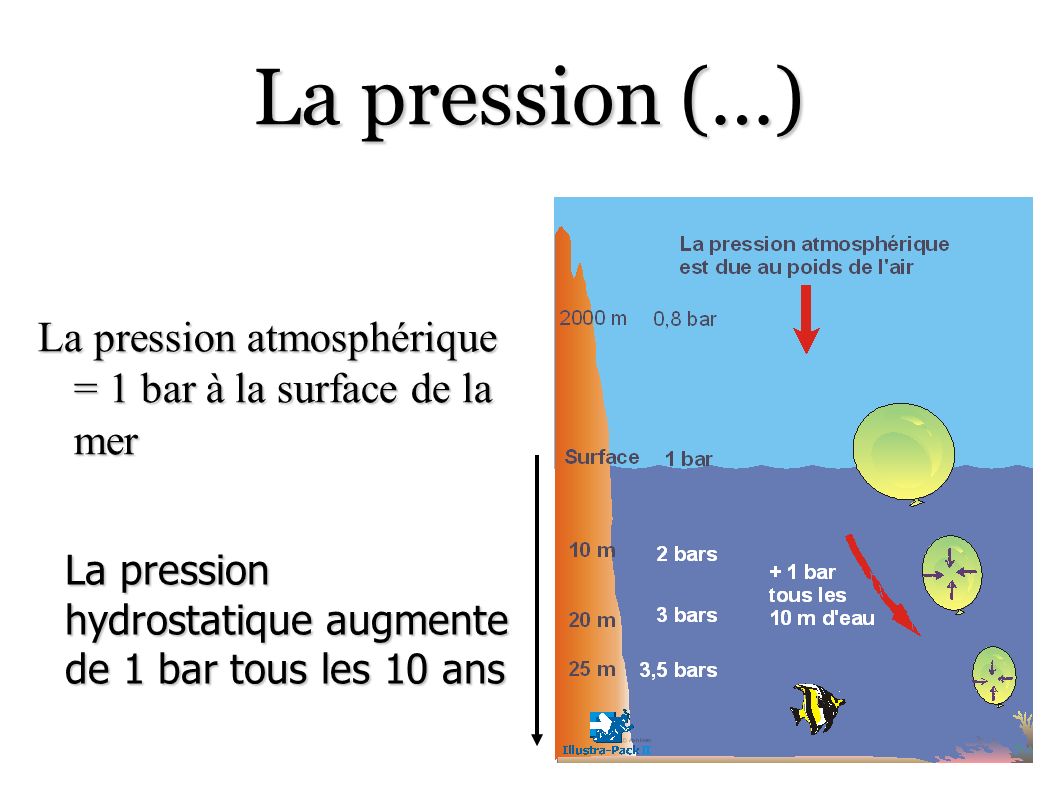 La pression (…) La pression atmosphérique = 1 bar à la surface de la mer. La pression hydrostatique augmente de 1 bar tous les 10 ans.