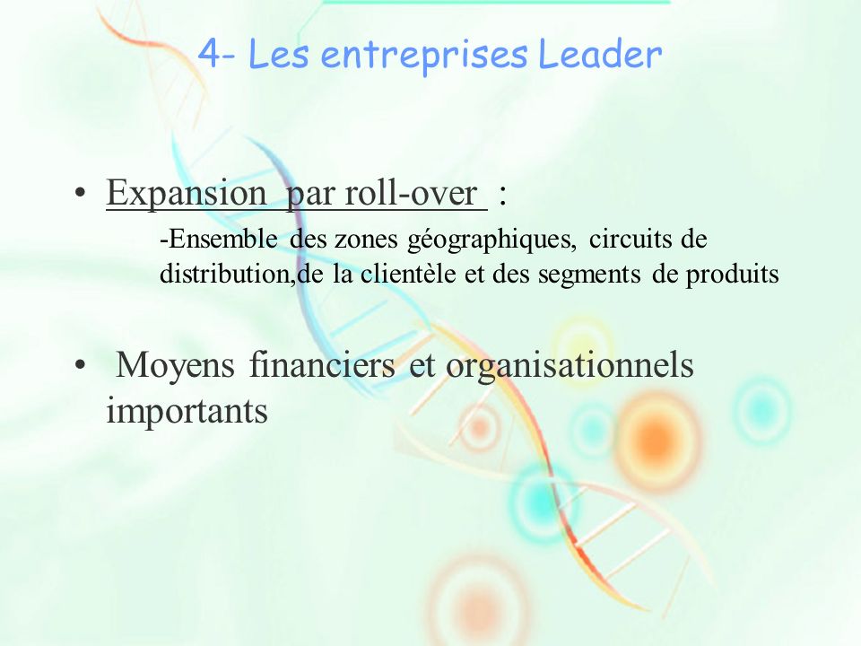 4- Les entreprises Leader