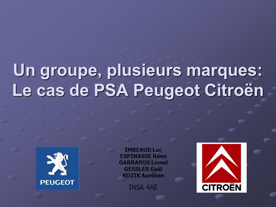 Un groupe, plusieurs marques: Le cas de PSA Peugeot Citroën