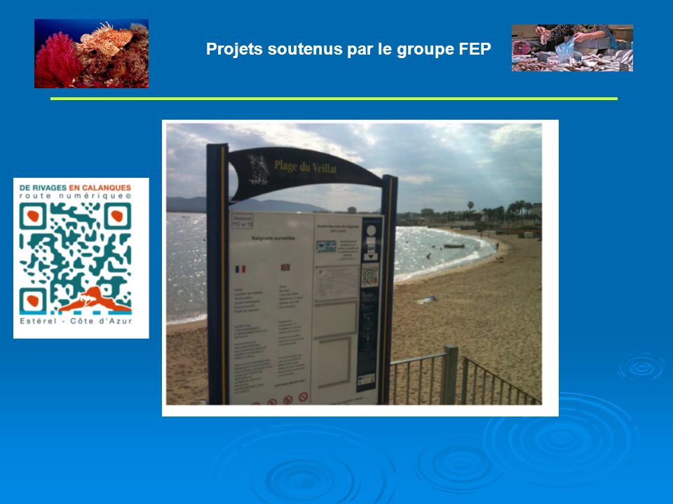 Projets soutenus par le groupe FEP