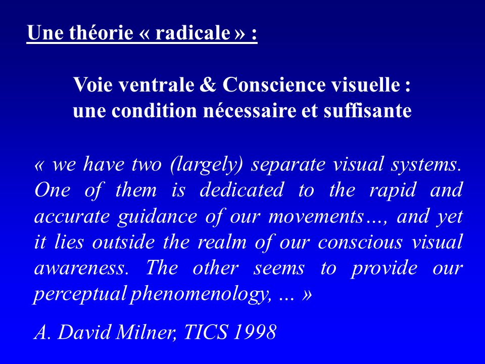 Une théorie « radicale » : Voie ventrale & Conscience visuelle :