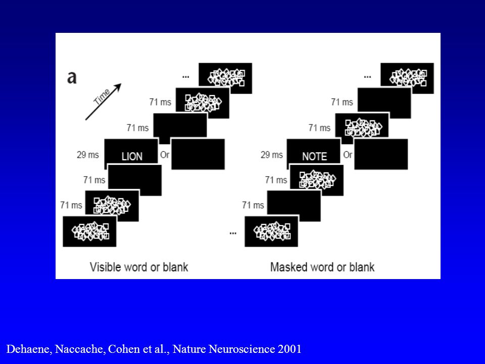 Dehaene, Naccache, Cohen et al., Nature Neuroscience 2001