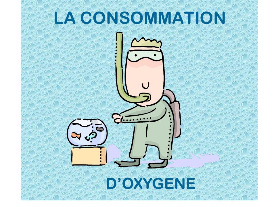 LA CONSOMMATION D’OXYGENE