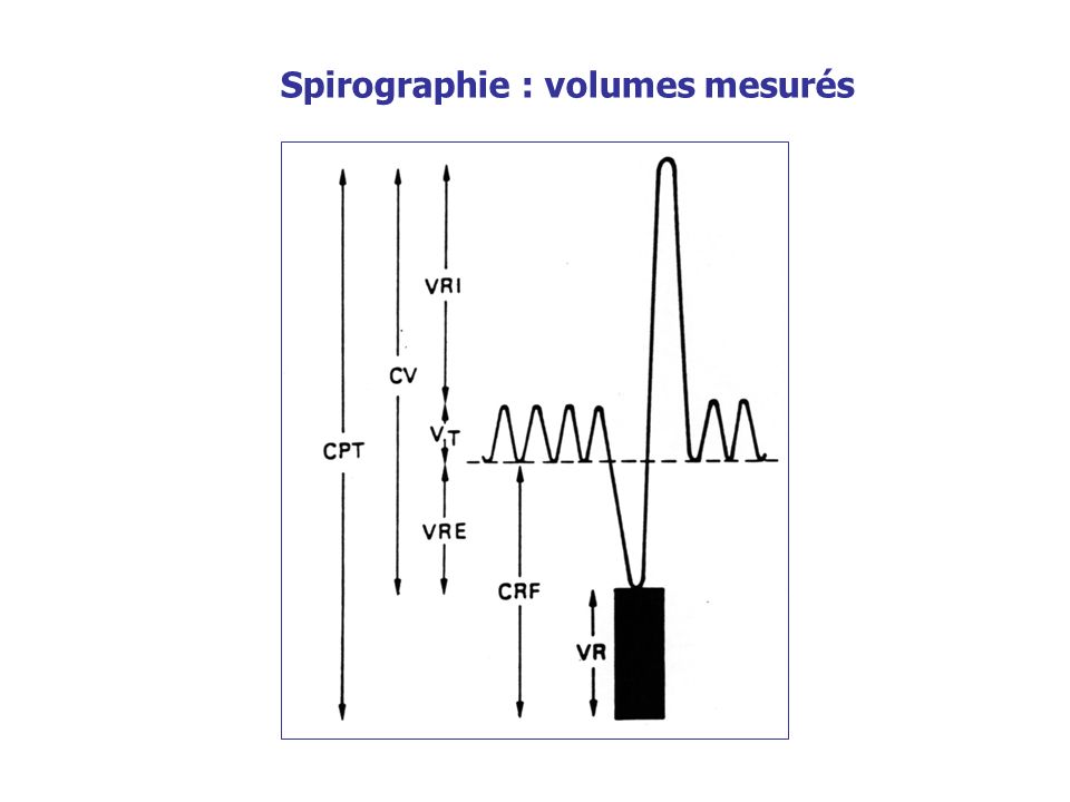 Spirographie : volumes mesurés