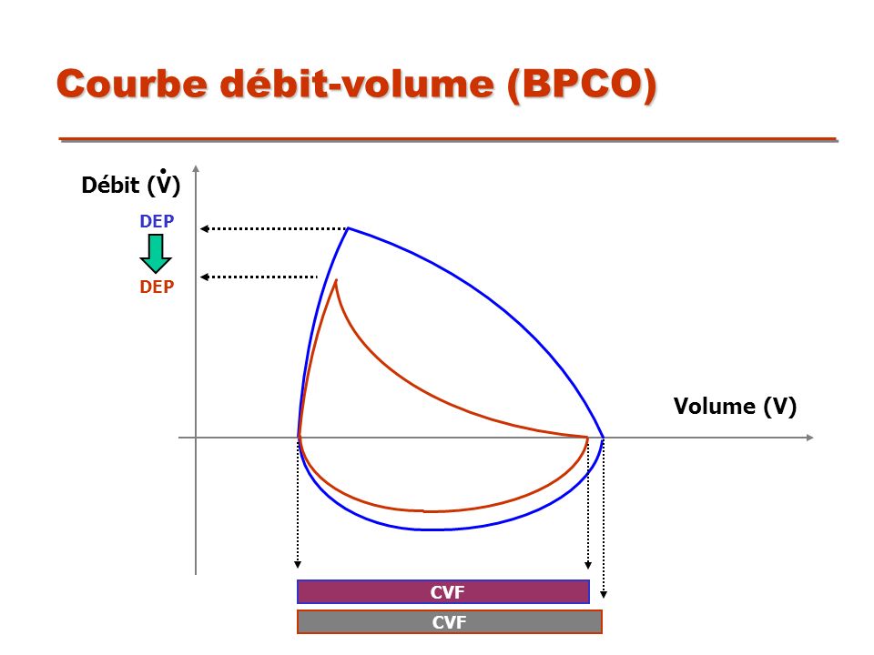 Courbe débit-volume (BPCO)