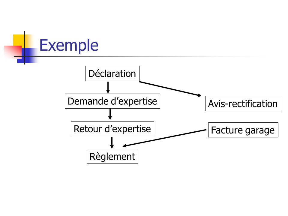 Exemple Déclaration Demande d’expertise Avis-rectification