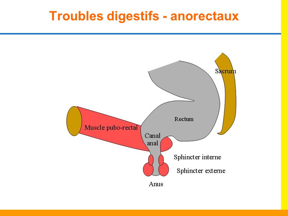 Troubles digestifs - anorectaux