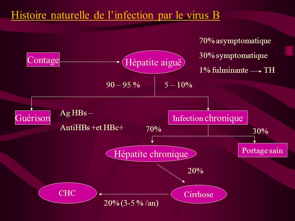 Les Hépatites Dr A. MEDINI IFSI Ppt Video Online Télécharger